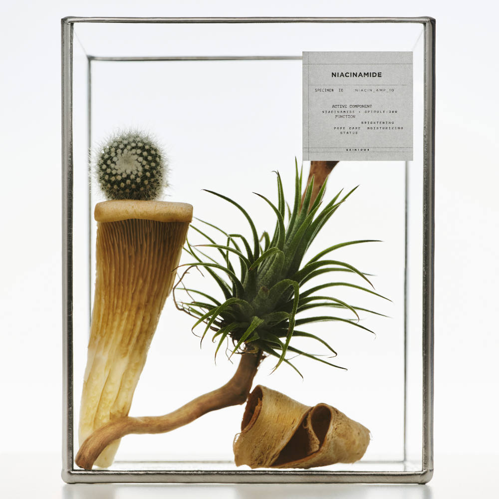 SKIN1004 | Lab in Nature: Niacinamide 10 Boosting Shot Ampoule