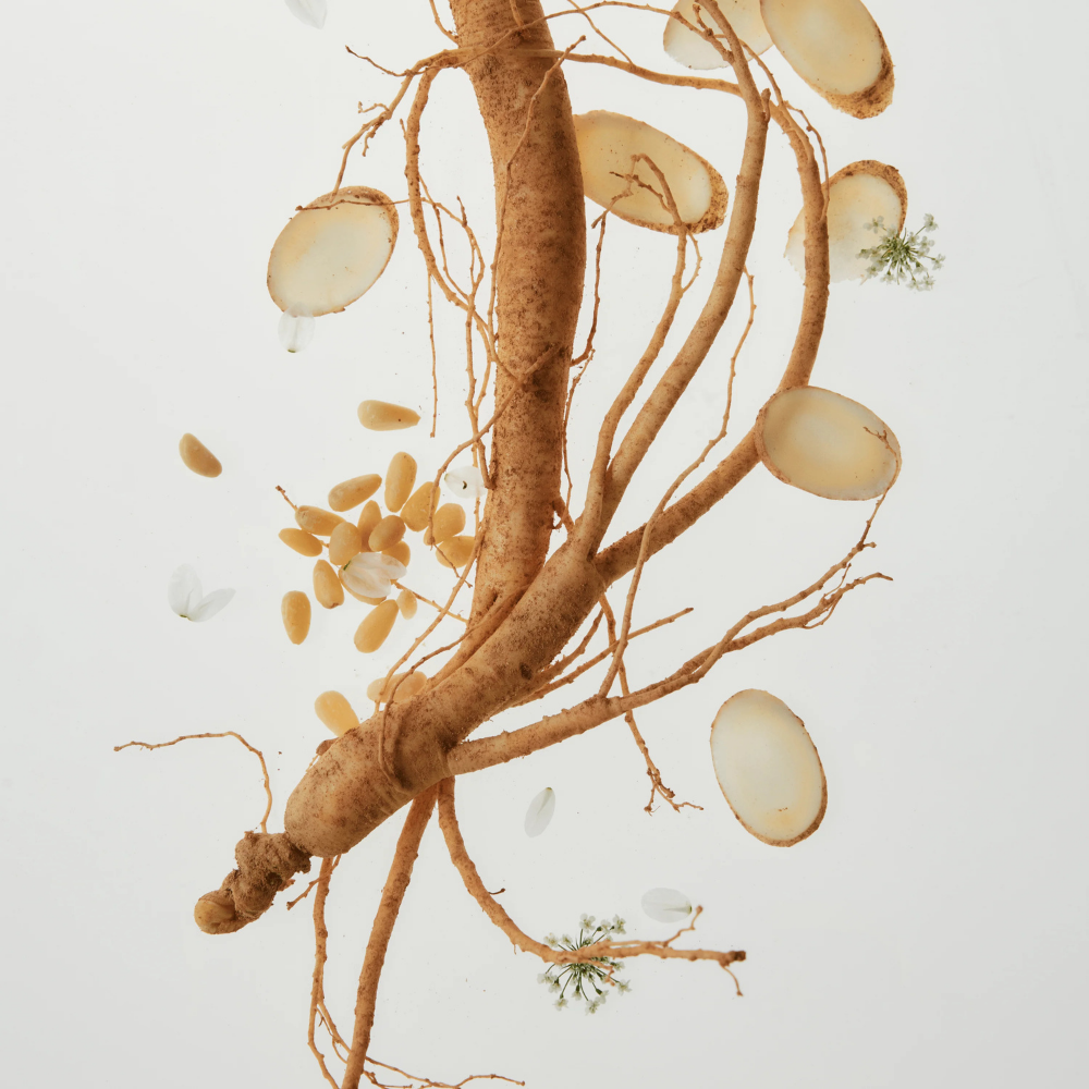 Beauty Of Joseon | Ginseng Cleansing Oil