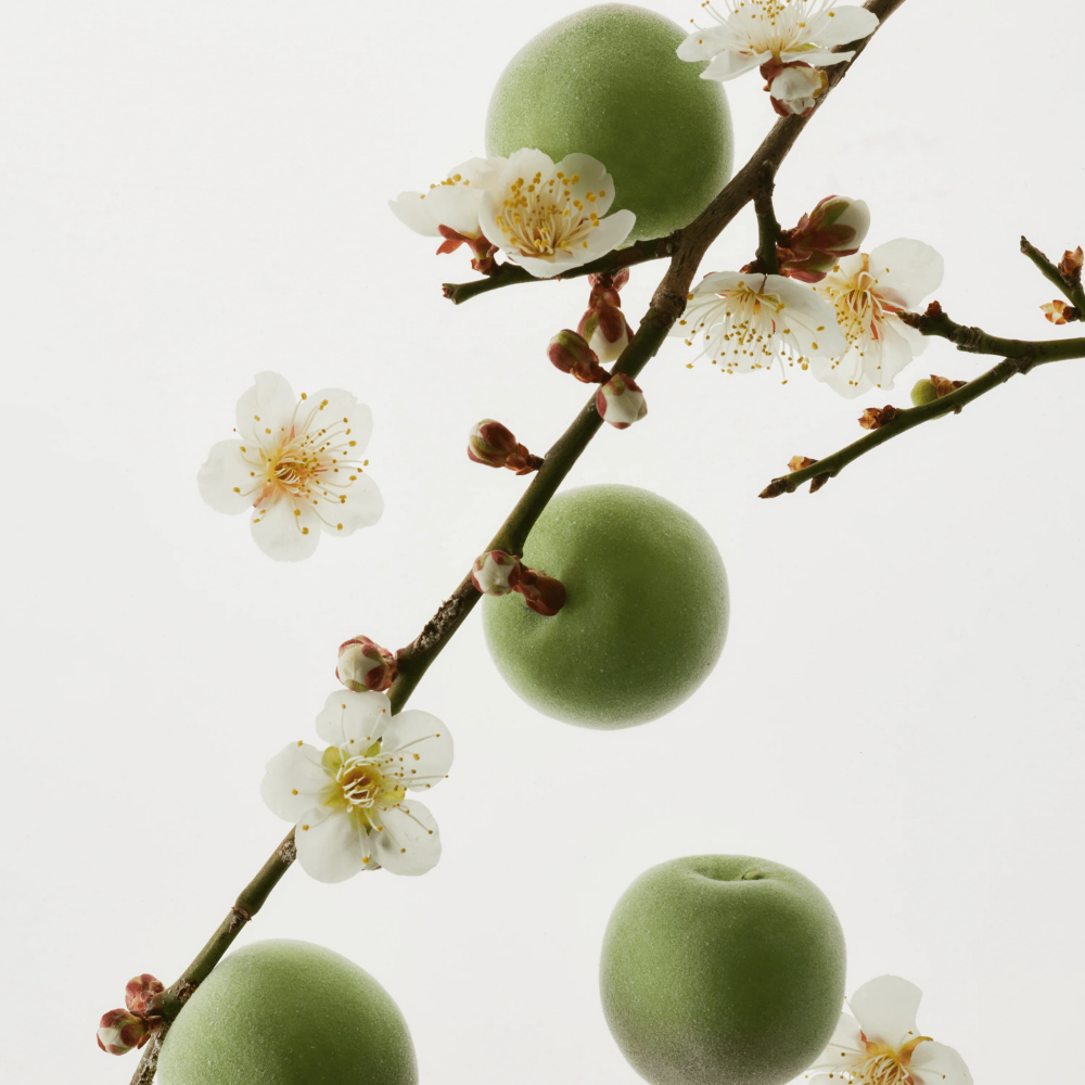 Beauty Of Joseon | Green Plum Refreshing Toner AHA + BHA