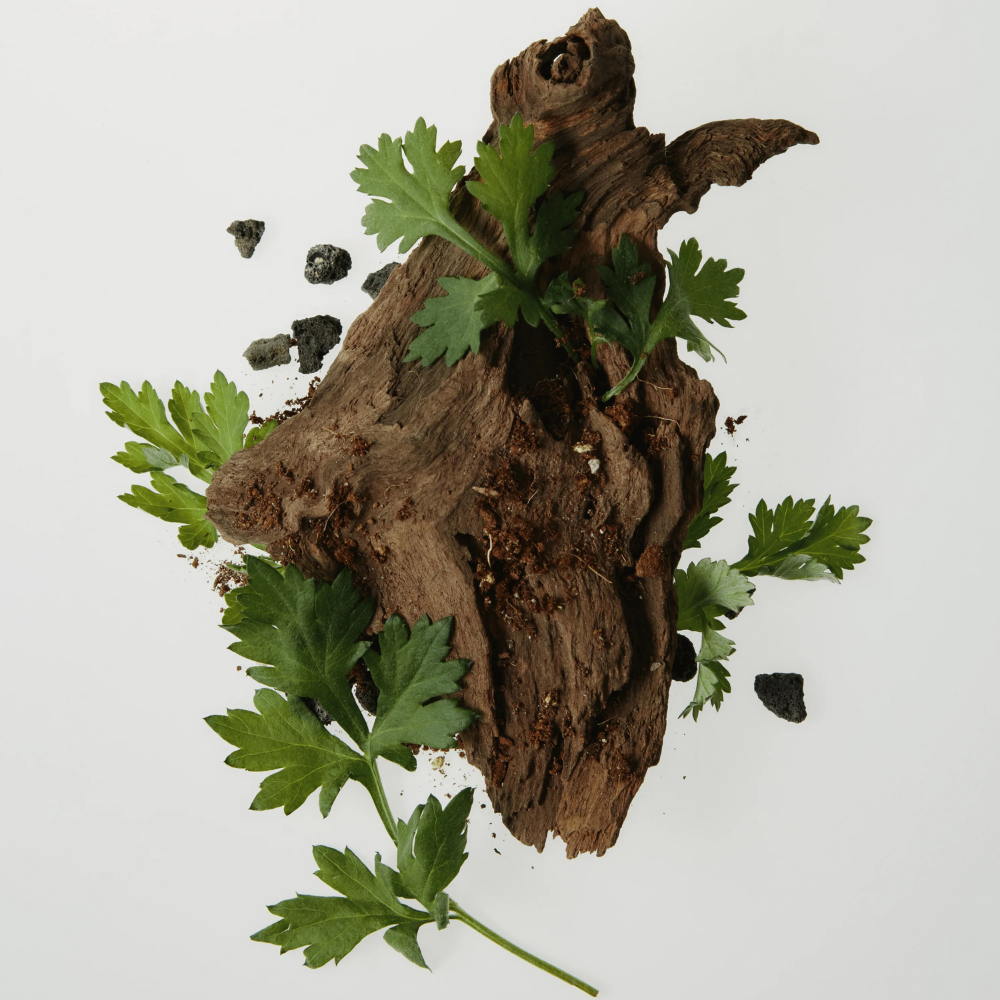 Beauty Of Joseon | Calming Serum : Green tea + Panthenol