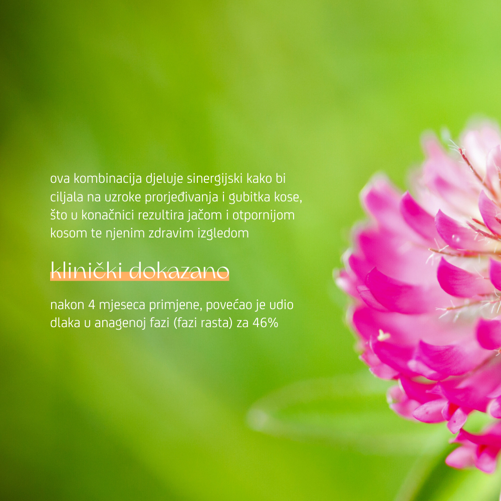 Nuggela & Sulé | Anti-Hair Loss Serum Forte