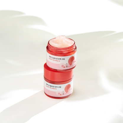 Round Lab | Camellia Deep Collagen Firming Cream