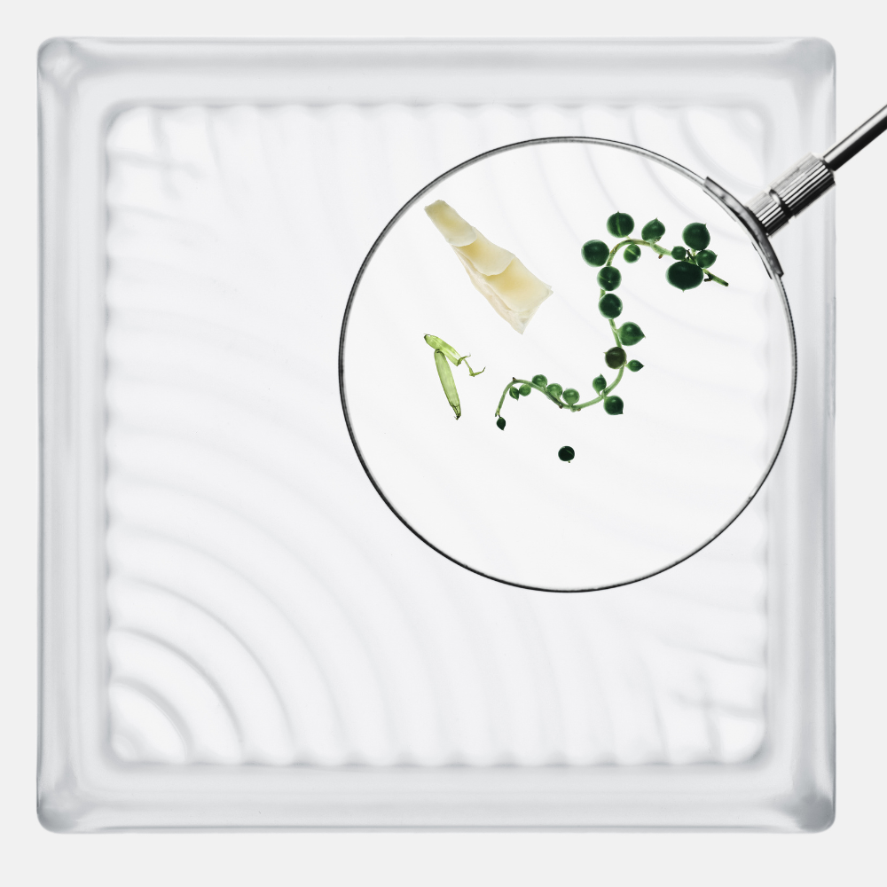 SKIN1004 | Lab in Nature: Azelaic Acid 10 Ampoule